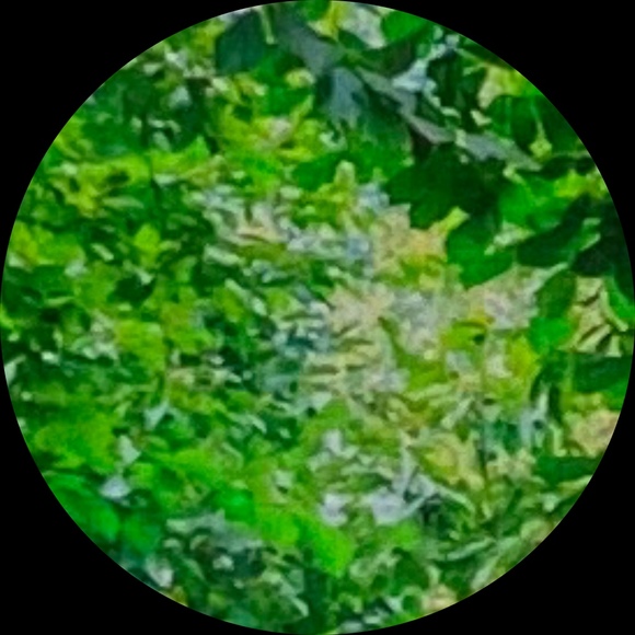 cuongdaongoc90